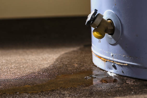 Best Commercial water damage restoration  in Kouts, IN