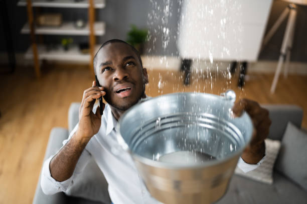 Best Water damage contractors near me  in Kouts, IN