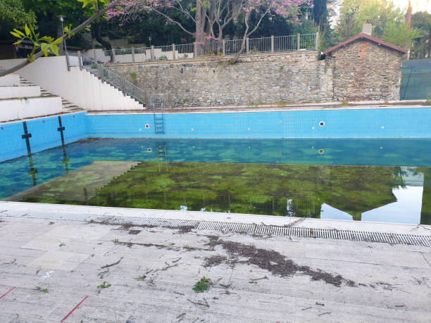 Best Flood restoration services  in Kouts, IN