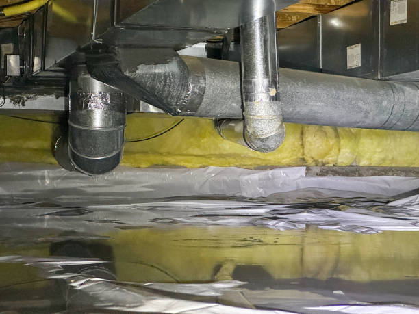 Best Emergency water extraction  in Kouts, IN