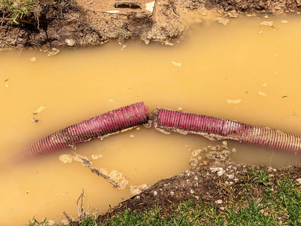 24/7 water damage repair in IN