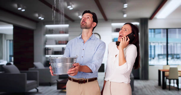 Best Water damage restoration near me  in Kouts, IN